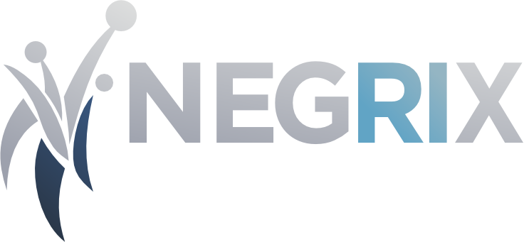 negrix.com.br